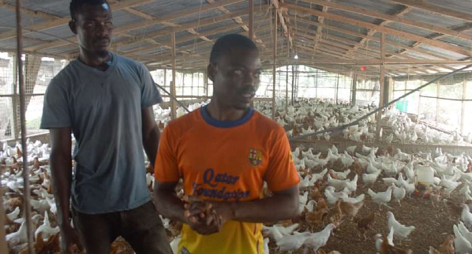 Rethinking Your Purpose Toward Farming-African Youth