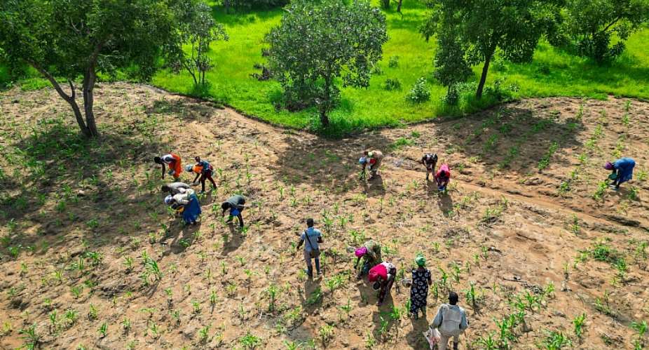 Four ideas that can help Ghana preserve food security when the next drought hits