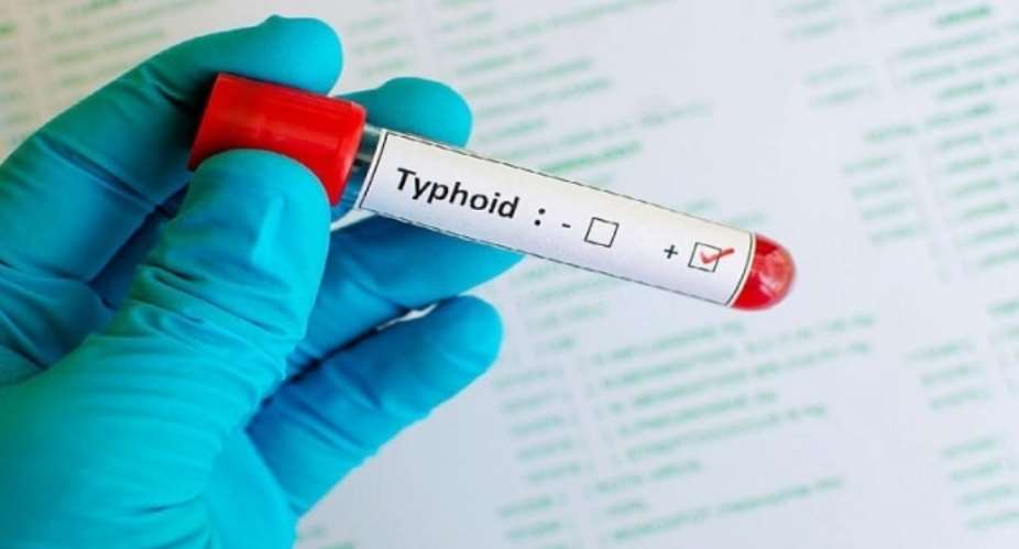 Could Viruses Help us Detect Typhoid Faster?