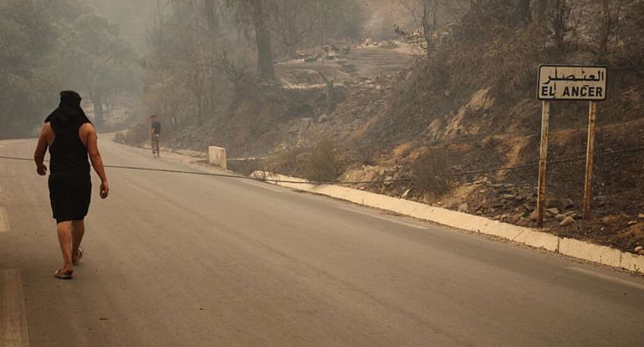 A man walks along a road bordering a forest scorched by a wildfire in Jijel, northeast Algeria, 27 August, 2026. -  AP