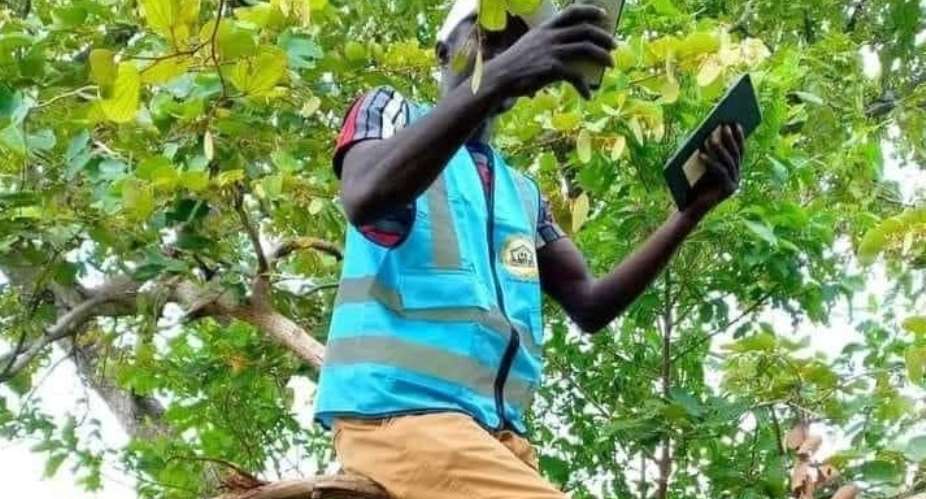 How Nwawasuaresidents climb trees and mountains top in search of good internet connectivity, calls