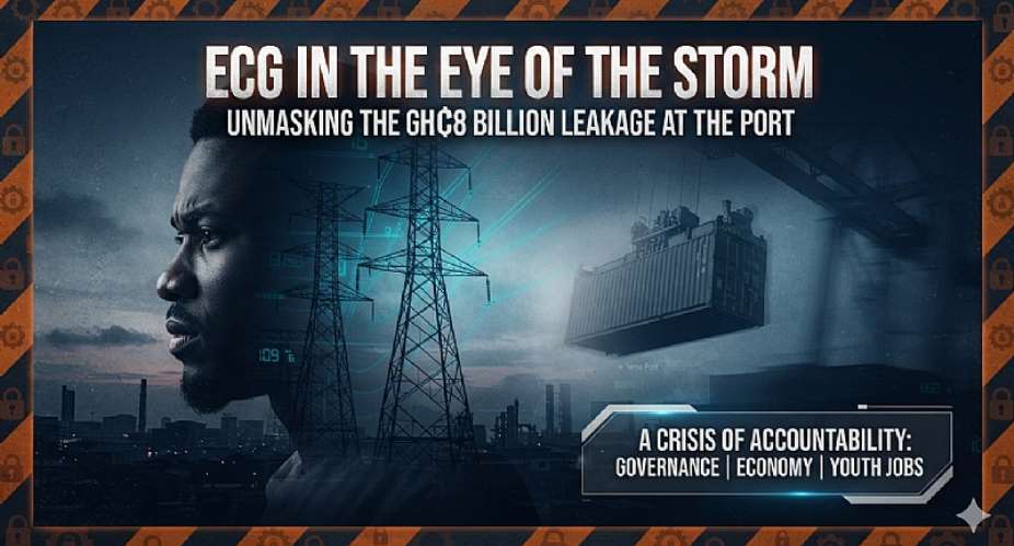 ECG in the Eye of the Storm: Accountability, Port Scandals, and the Quest for Institutional Integrity