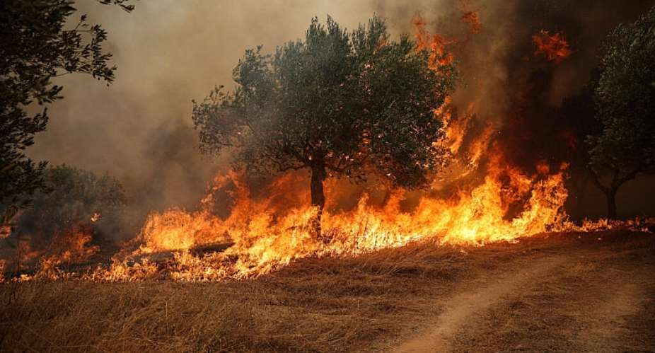 This photo shows a wildfire burning trees in Viotia region, west of Athens, on August 2, 2026 -  Aris Oikonomou, AFP