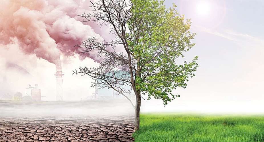 Climate Change Real: Decarbonization And Carbon Sinks Inevitable