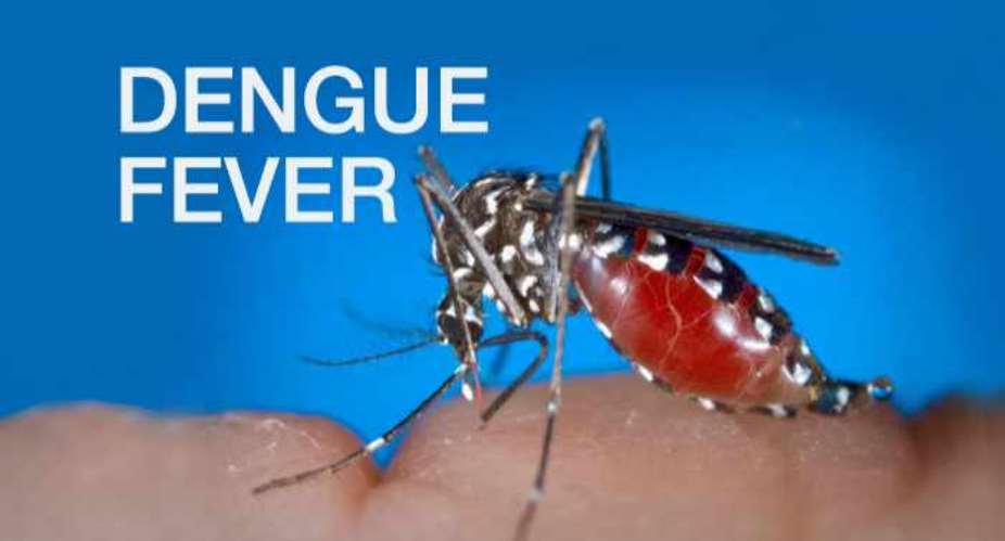 Dengue Fever Incidence Up In India: Prevention  Information Can Keep Your Safe