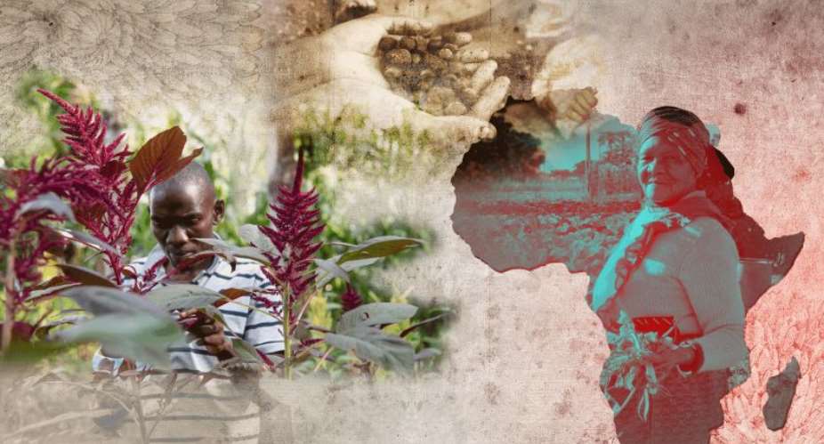 Whose seeds, whose sovereignty?