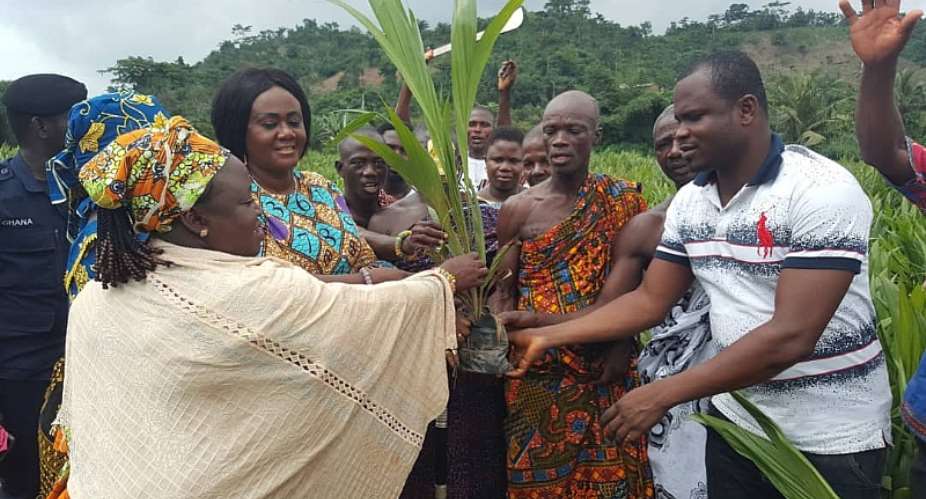 Farmers In Prestea Huni-Valley Receive Over 100,000 Palm Seedlings From MP