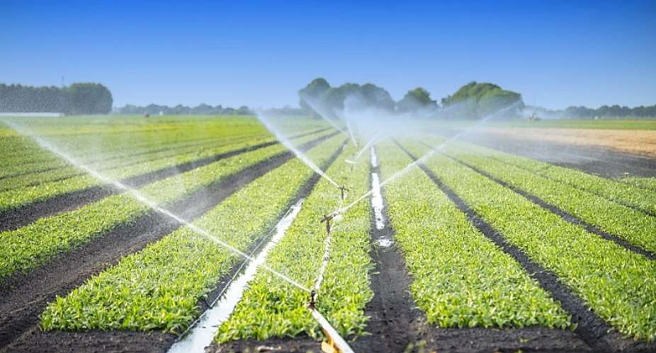 Rethinking Irrigation in Ghana: Ahiabor’s Underground Water Solution for Year-Round Agriculture