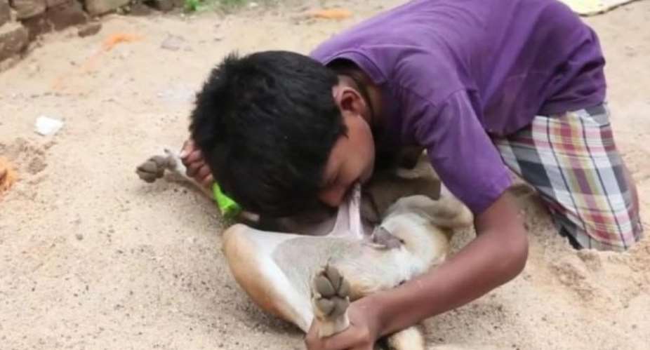 Boy 10, addicted to dog milk