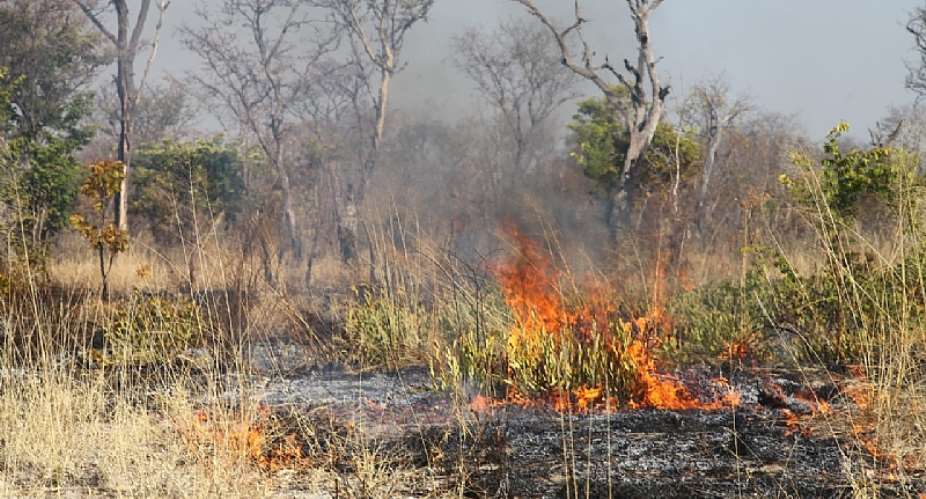 A late season fire in Bwabwata National park.  - Source: Conor Eastment