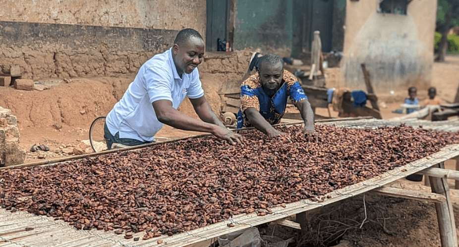 Ghana’s Cocoa Farmers Are Ageing — And Their Children Are Not Coming