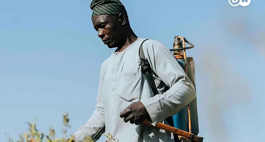 Nigeria Ranks Second in West Africa for Farmer Pesticide Poisoning And the Danger Doesnt Stop at the Farm Gate