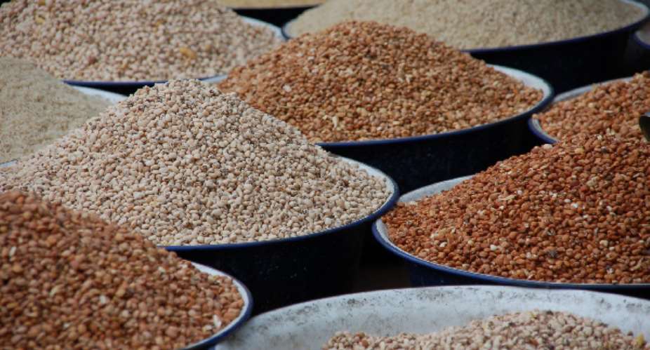 Dont extend ban on exportation of grains again – Peasant farmers to government