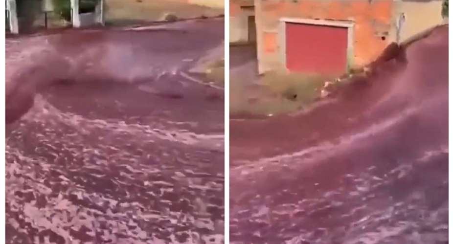 Truck reportedly spills 2.2 million litres of wine in Portuguese village VIDEO