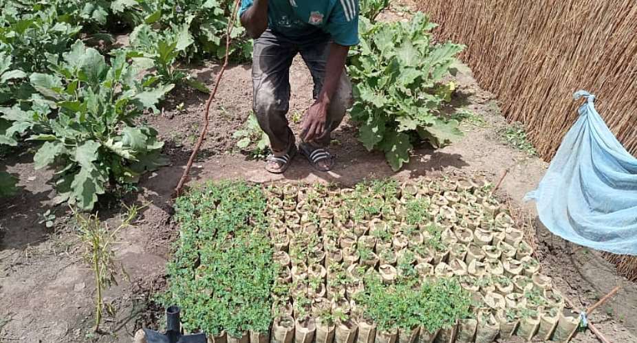 Senegalese Community Seizes its Future through TREES