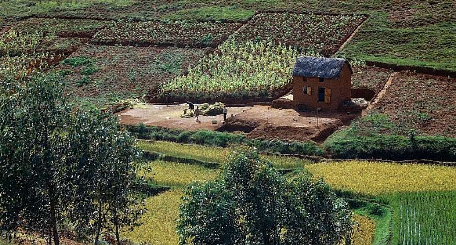 Farmhouse near Antananarivo, Madagascar.  - Source: DeAgostiniGetty Images