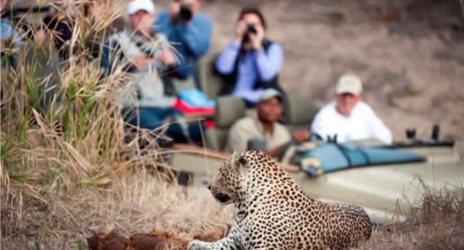 Chinese Travellers' Interest In African Tourism Growing