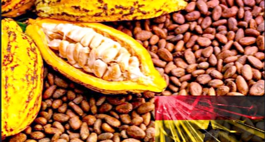 Govt increases producer price of cocoa to GH¢48,000 per tonne