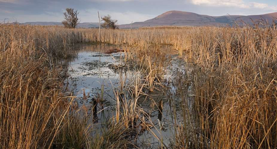 A birding hotspot: the wetland reserve in Wakkerstroom, Mpumalanga.  - Source: GettyImages