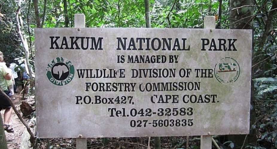 Kakum Park Security Dispatched To Arrest Elephant Invasion