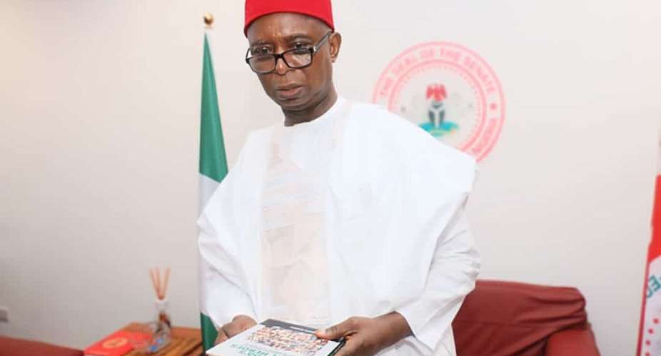 Ned Nwoko’s Legislative Scorecard: Raising The Bar For Representation In Nigeria