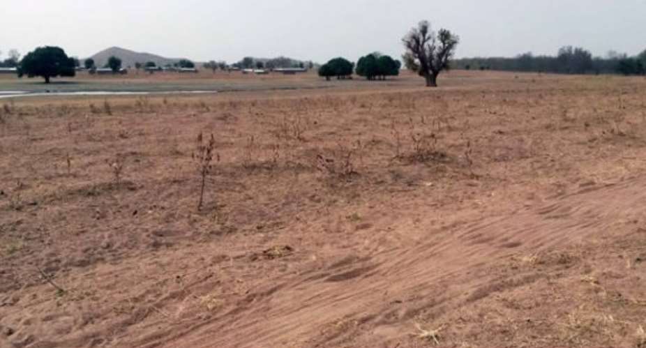 SADA to resurrect failed tree planting exercise