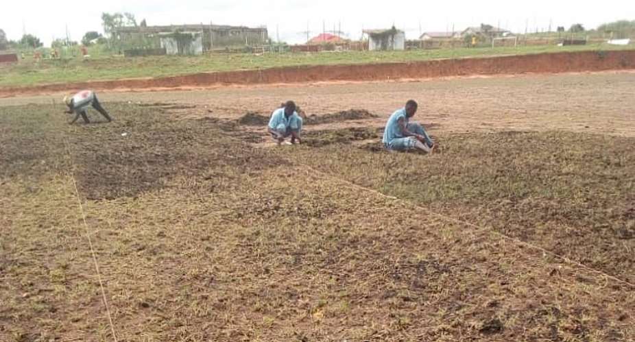 Re-Grassing Begins At Asante Kotoko Training Pitch