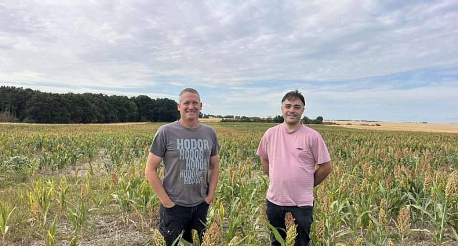Ludovic Joiris (left) and Eudes Coutt in their fields of sorghum – a plant that requires far less water than maize. -  Orianne Gendreau / RFI