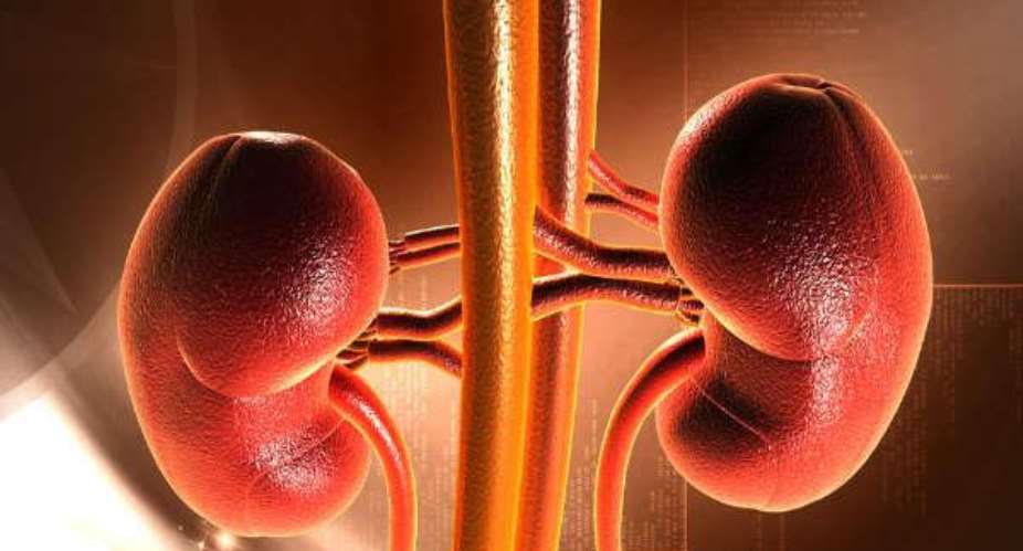 March is kidney awareness month