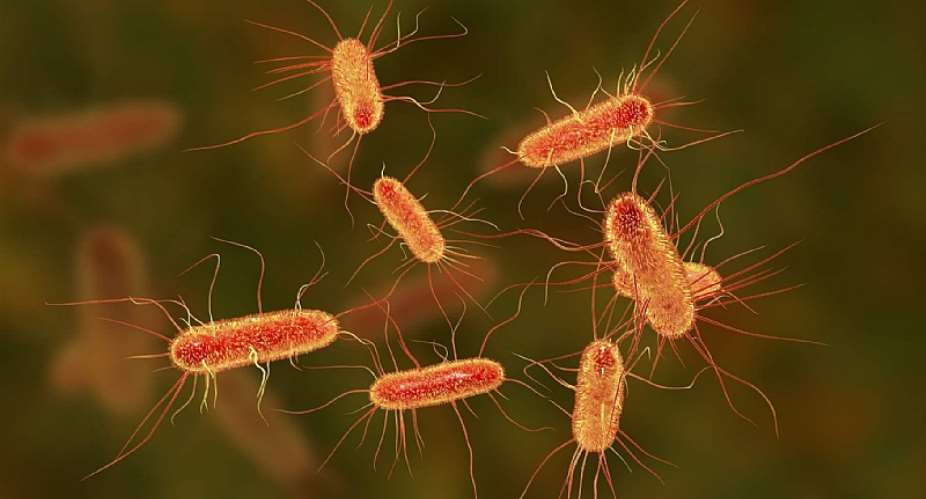 Fighting Superbugs with Viruses: A Faster Way to Detect Infection