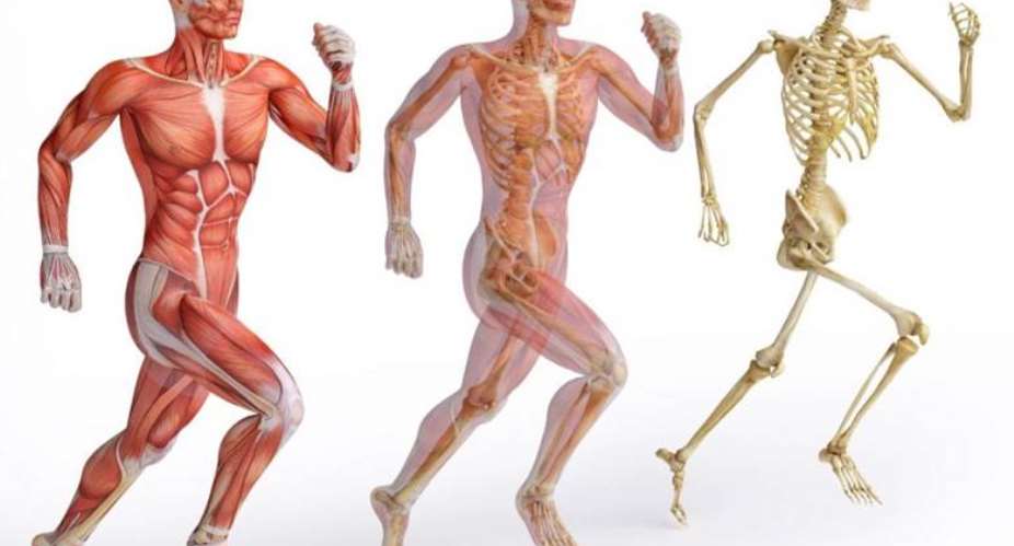 Why musculoskeletal (MSK) conditions are common in Ghana and how to prevent them using natural remedies