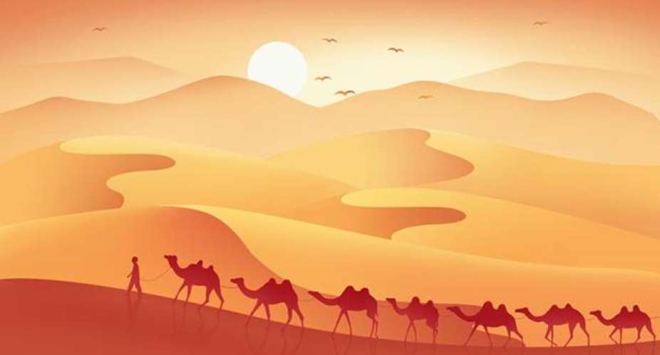 Camels traveling along the ancient Silk Road. Photo: VCG
