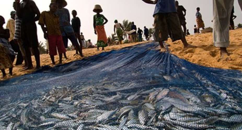 Ghana To See Further Decline In Fish Stock Due To Climate Change