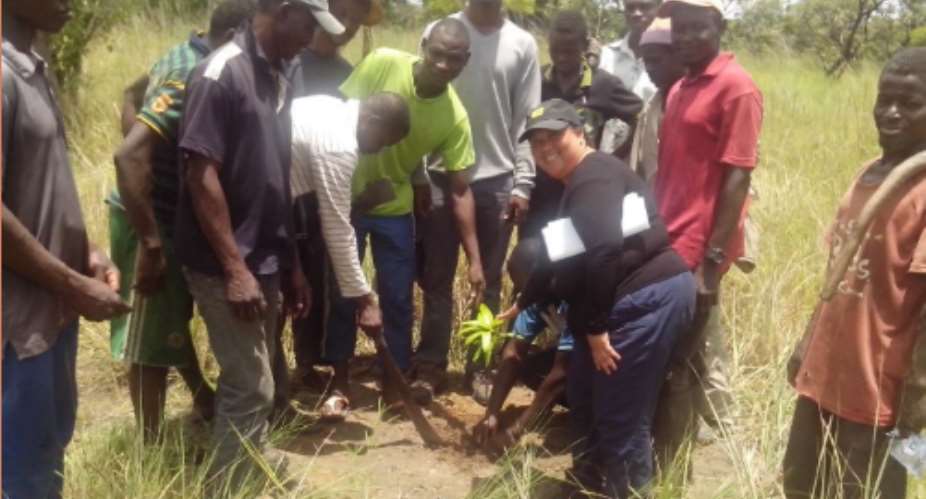 Reversing Desertification Through Communal Fruit Tree Plantations In Upper West Region
