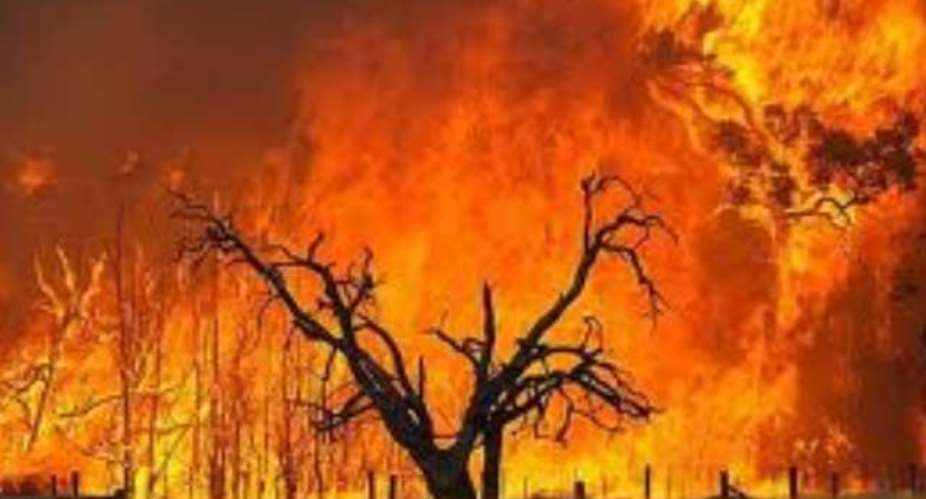 2026/27 national bushfire prevention campaign launched