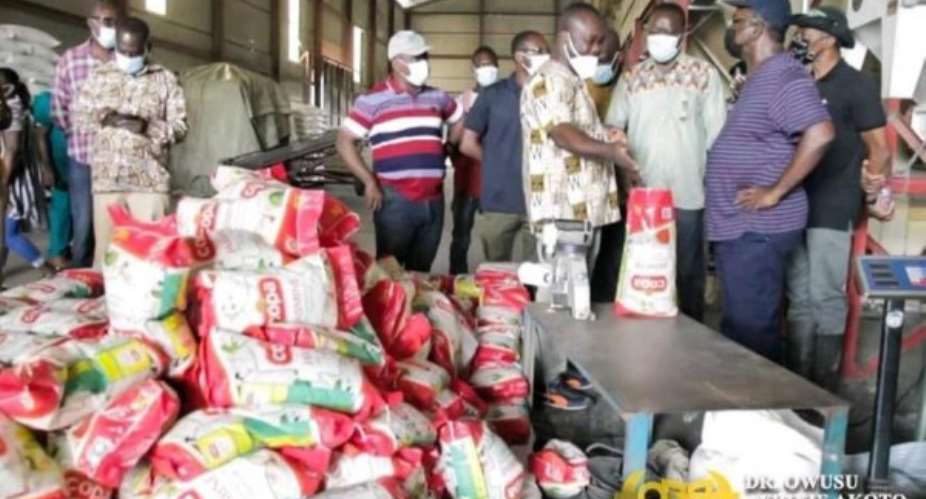 Ghana need more local rice to meet demand — Agric Minister