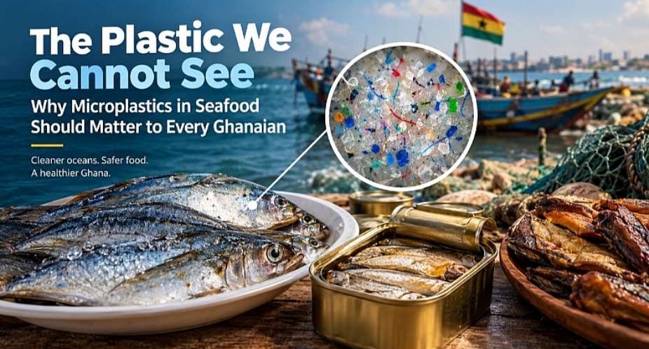 The Plastic We cannot See: Why Microplastics in Seafood Should Concern Every Ghanaian
