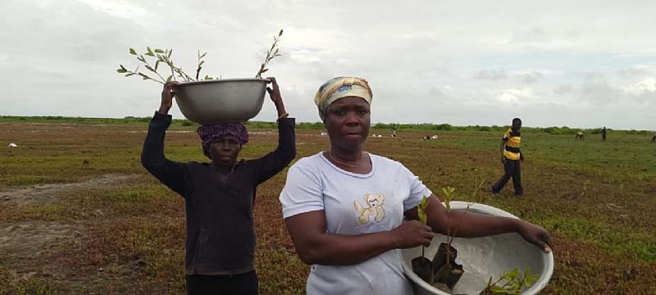 Women Hold the Key to Making Nature-Based Climate Solutions Work, Experts Say