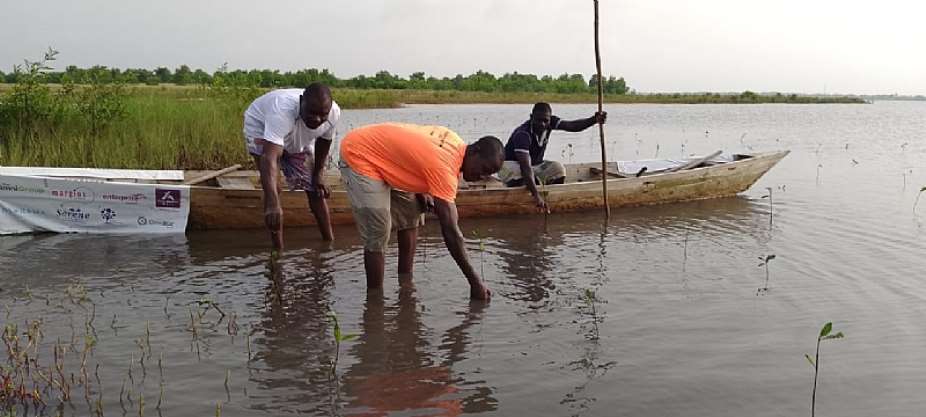 Nature Is Infrastructure: How Protecting Mangroves, Wetlands and Forests Could Shield Communities from Climate Threats