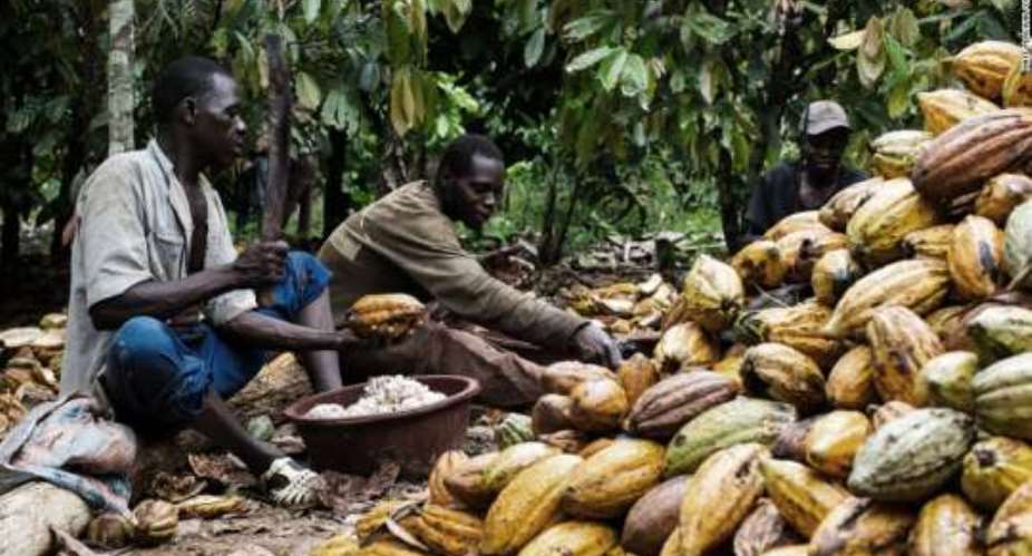 New cocoa season begins on September 30