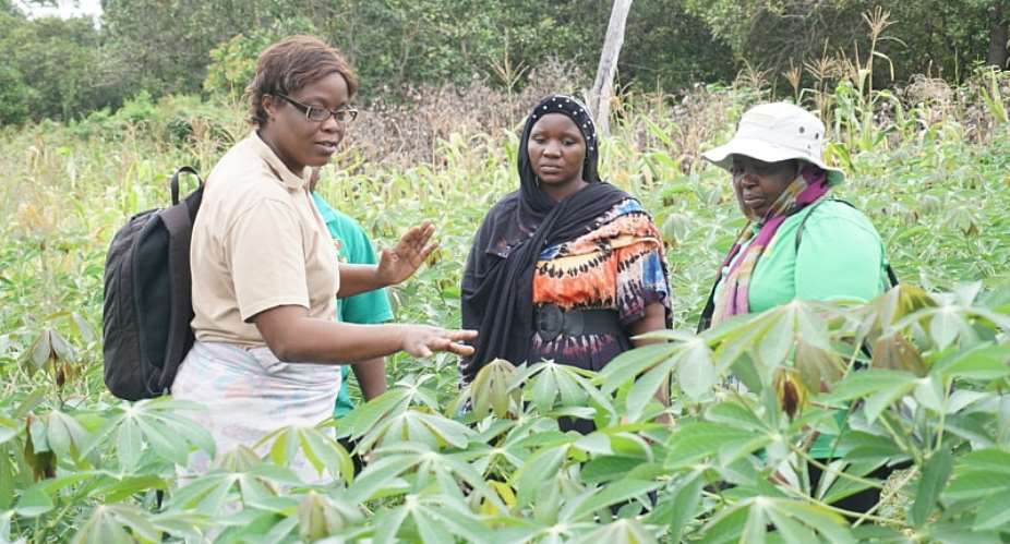 IITA-Care Study: Rural Female Farmers Contribute More To Local Economy In Cameroon