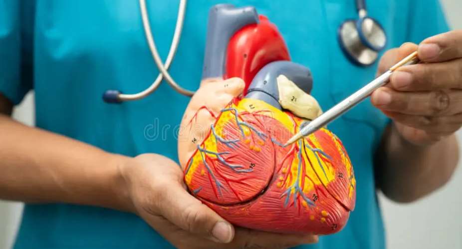 Cardiovascular diseases: Here are the foods and lifestyles young people must avoid— Physician Specialist advises