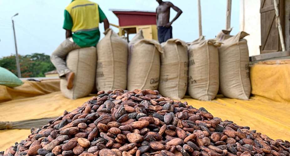 2024/25 cocoa farm-gate price must not be anything less than GHS6,000 per bag — Minority