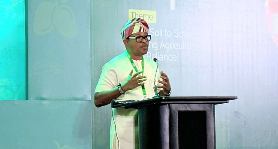 Chief Partnership Officer at the Secretariat, Dr Ishmael Nii Amanor Dodoo