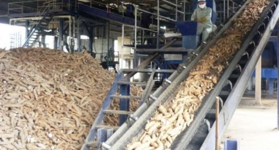 Cassava Processing Factory For Keta Begins