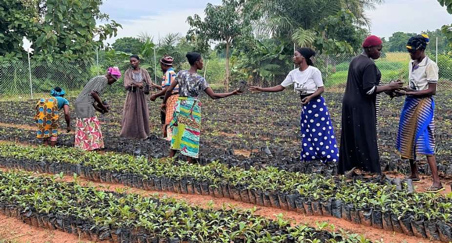 Seeds of Change towards Forests of Prosperity: Communities working to restore degraded forests in the northern savannah zone of Ghana