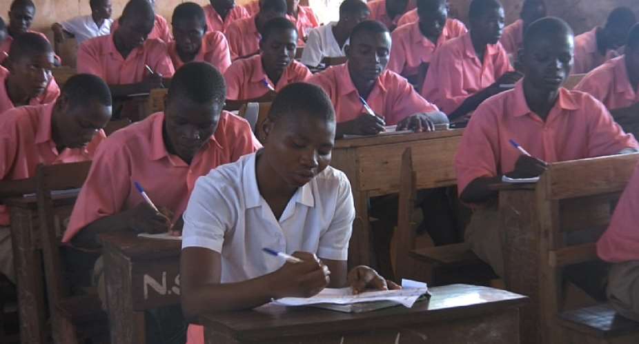 Free SHS Lacks Elements Of Socio-Economic Productivity!