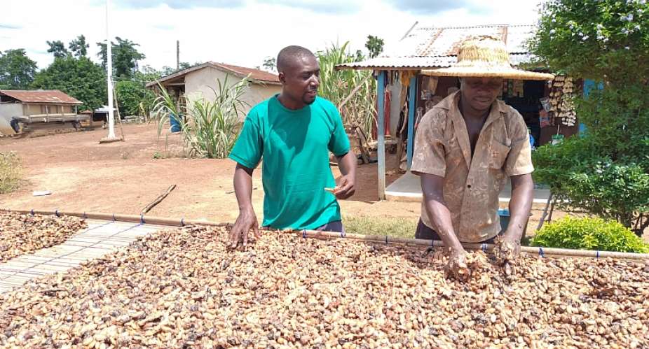 Sustainability Initiatives In The Cocoa Industry