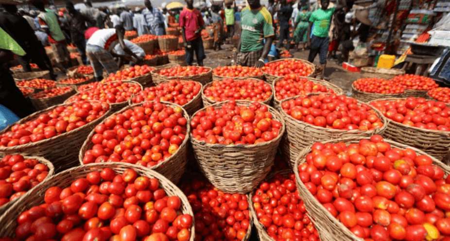 Tomato prices to drop as Ghanaian farmers begin harvest — John Dumelo