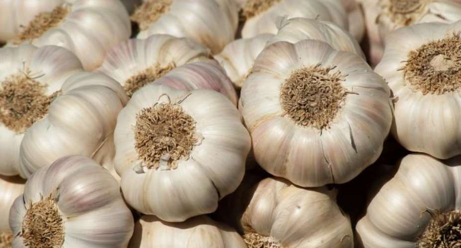 Raw Garlic Benefits for Fighting Disease